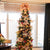 Christmas Tree Suite Experience