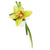 Cymbidium Orchid with Lily Grass
